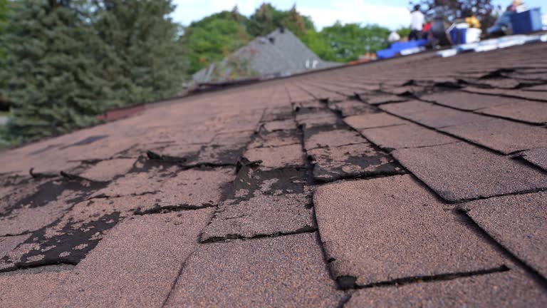 Best Roof Leak Repair  in Pepperdine University, CA