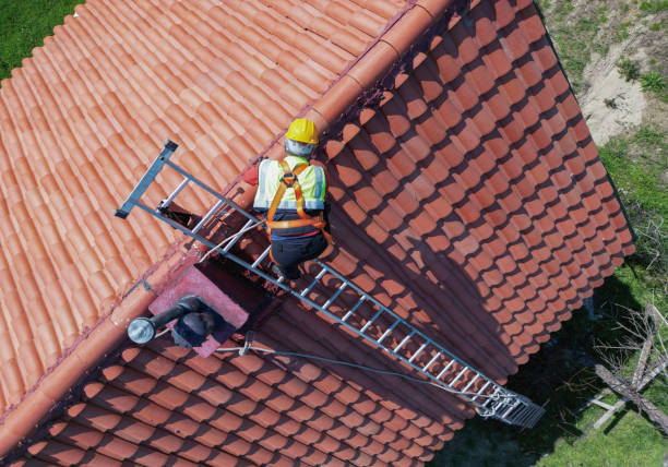 Best Green or Eco-Friendly Roofing Solutions  in Pepperdine University, CA